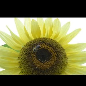 Meet your Posher, Jen